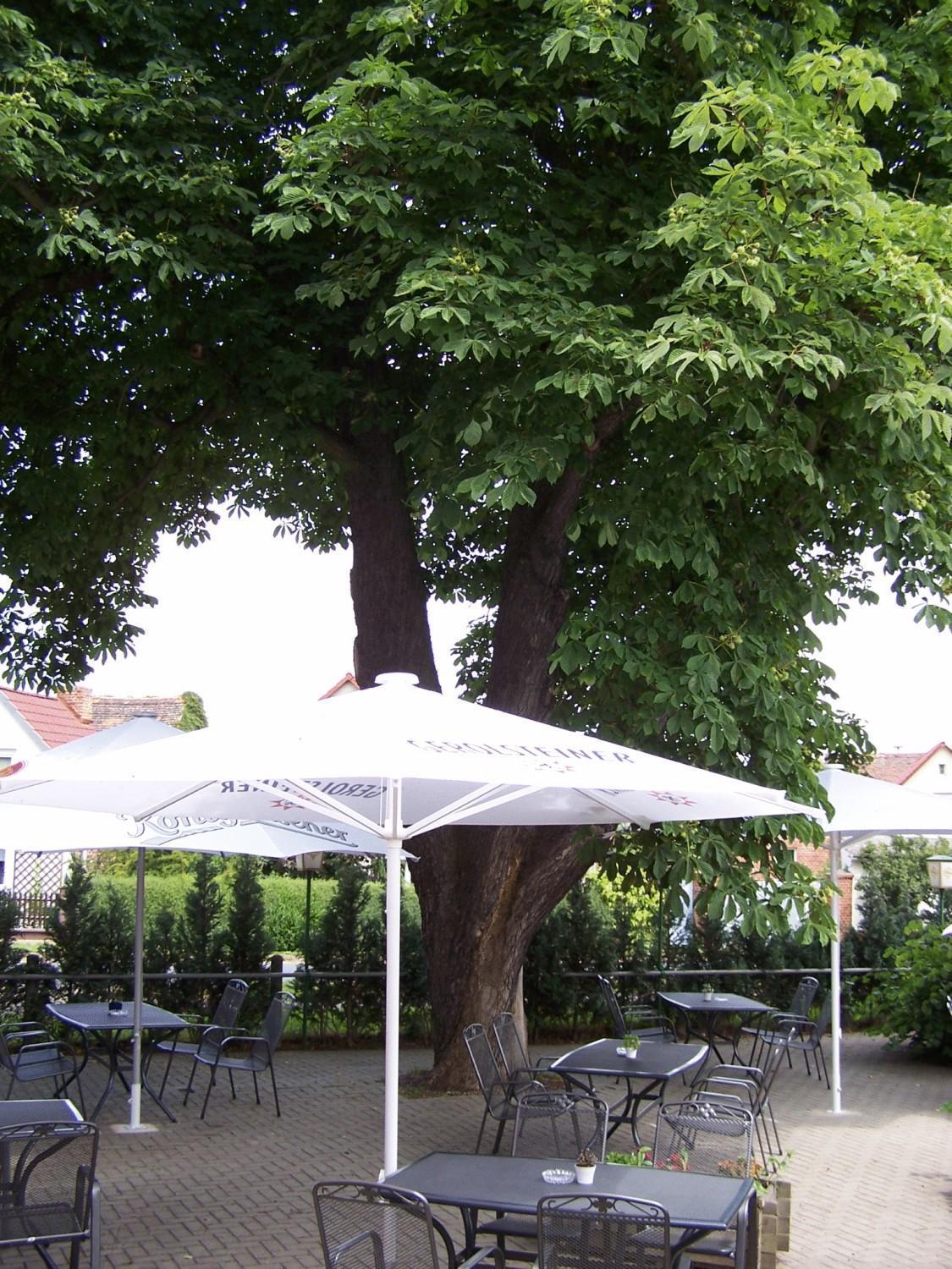 Hotel Glindenberger Hof Экстерьер фото